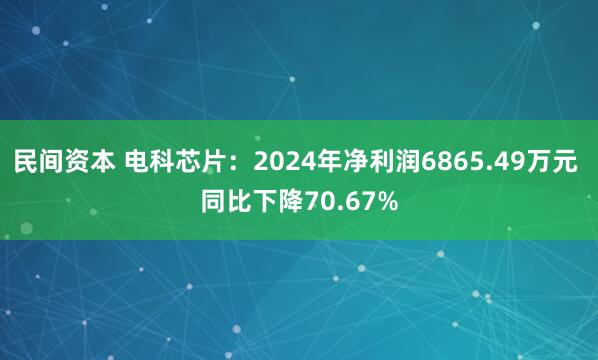 民间资本 电科芯片：2024年净利润6865.49万元 同比下降70.67%