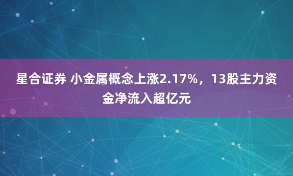 星合证券 小金属概念上涨2.17%，13股主力资金净流入超亿元