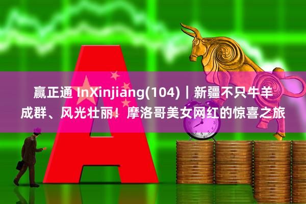赢正通 InXinjiang(104)｜新疆不只牛羊成群、风光壮丽！摩洛哥美女网红的惊喜之旅