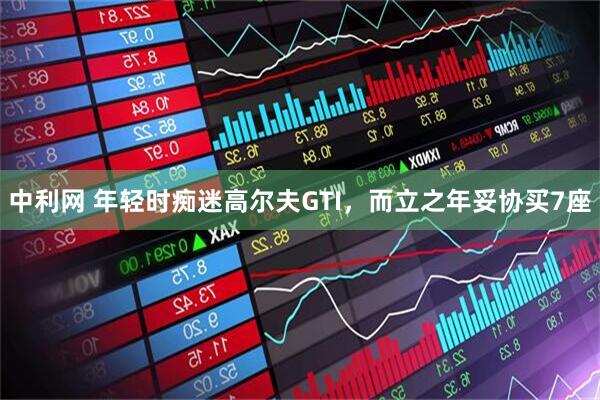 中利网 年轻时痴迷高尔夫GTI，而立之年妥协买7座