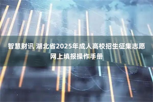 智慧财讯 湖北省2025年成人高校招生征集志愿网上填报操作手册